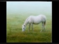 Leonard Cohen - Ballad of the absent mare