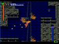 악마성 드라큘라X 피의윤회 스테이지1-b 마리아(CastlevaniaX-Played Maria)