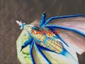 World of Warcraft Emu Movie