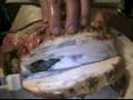How to Make Rotisserie Chicken with Gravy : Cutting Off Wings: Rotisserie Chicken Recipe