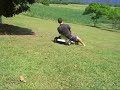 Billy Cart Madness The Movie
