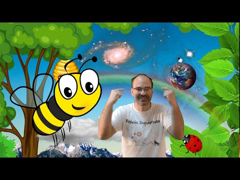 Videoclip sobre abejas que acerca la primavera a casa