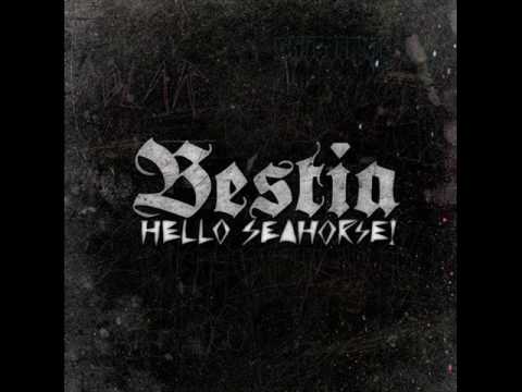 Video de Miércoles de Hello Seahorse!