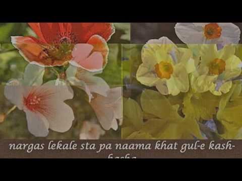 poetry..pashto.pukhto - lyrics................rahmat shah sayel singer...............naem turi A very heart warming music and poetry presented by a great band of pashtoons.It is per...