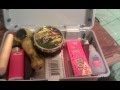 OG Kush.50% /My Weed Stash/Box