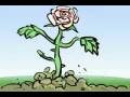videos de rose.mov