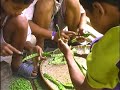 Mautam March 2008 Update