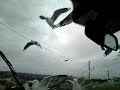 What to do at the beach