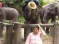 elephant camp mesai 11