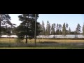 The New Kouvola