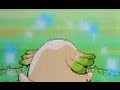 Leveinard chromatique / Shiny chansey, the 7 110th !