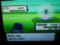 Pokemon Diamond And Pearl- Where To Find Ditto