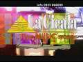 videos de la cicala spot tv