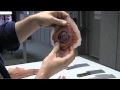 Robert Kurtzman's Creature Corps #42 - Behind-the-Scenes of HOSTEL: PART III