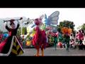 videos de P1060775.MOV
