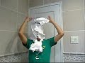 pie-in-the-face-pop-culture-gameshow-episode-1.html
