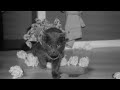 Open video