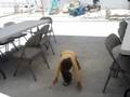 videos de Aldo Dance