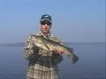 Norway Fishing