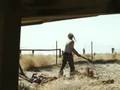 The Devil's Rejects Fun first then Devil Work