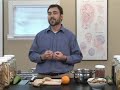 Traditional Chinese Medicine Dietary Therapy : Traditional Chinese Medicine: Food Energy  Traditional Chinese Medicine Chinese food therapy