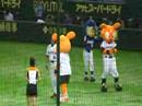 2007．8．23　試合前　ジャビットたちのダンスに乱入するドアラ