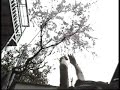 Nobuyoshi Asai Contemporary & Butoh Dance 1st.part