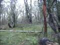 videos de KuitpoWalk short 0001