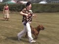 Shar   Pei  - Sopot 2007 (Part1)