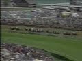 Alysheba - 1987 Kentucky Derby
