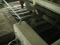 Oden State Fish Hatchery in Michigan Part 2 Oden State Fish Hatchery in Michigan Part 2
