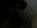 Os Espocka\