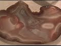 Lake Superior AGATES