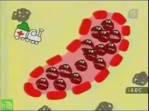 ионизация. отрицательные ионы в оздоровлении.