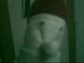 Jim the sock - jim hosts a tv show