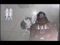 Estar Uaris (star wars cat)