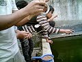 Mancing Ikan di Buntu 1 Mancing Ikan di Buntu 1