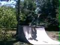 SKATE THE GNAR.