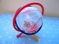 Scritchit has more fun in her Gyroball !