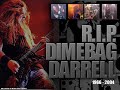 dimebag darrell tribute