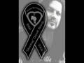 dimebag darrell tribute