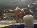 canta mistico canta