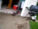 What not to do on a trampoline