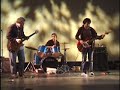 Vaag Mall Cows - Thumb #1
