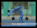 Đòn Chân Tấn Công số 21 - Vovinam Technical Program