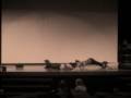 Stage Trailer Stage Trailer