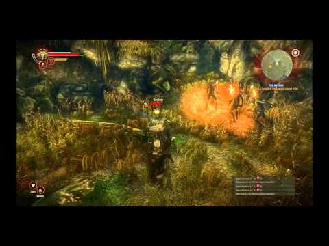 The Witcher 2 : Assassins of Kings