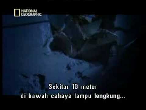 Seconds From Disaster – Hotel Collapse Singapore [พากย์ไทย]