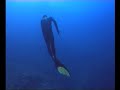 Constant Weight in Blue Hole 2004