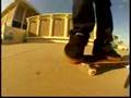 Stefan Janoski 360 flip tip